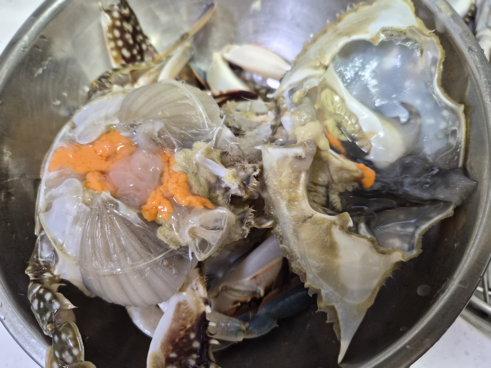 제철 국내산 서해한 활 암꽃게 